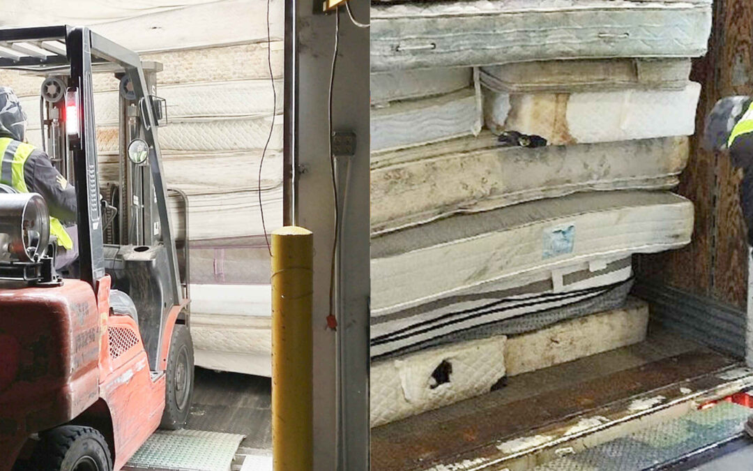 Alex Perez – Transportation Manager