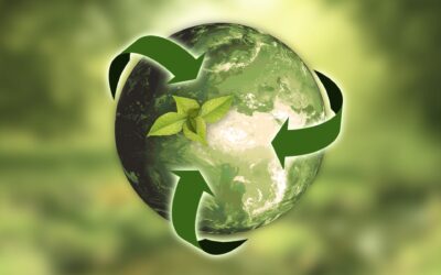 Thank You For Helping Us Recycle More Mattresses Thank You For Helping Us Recycle More Mattresses